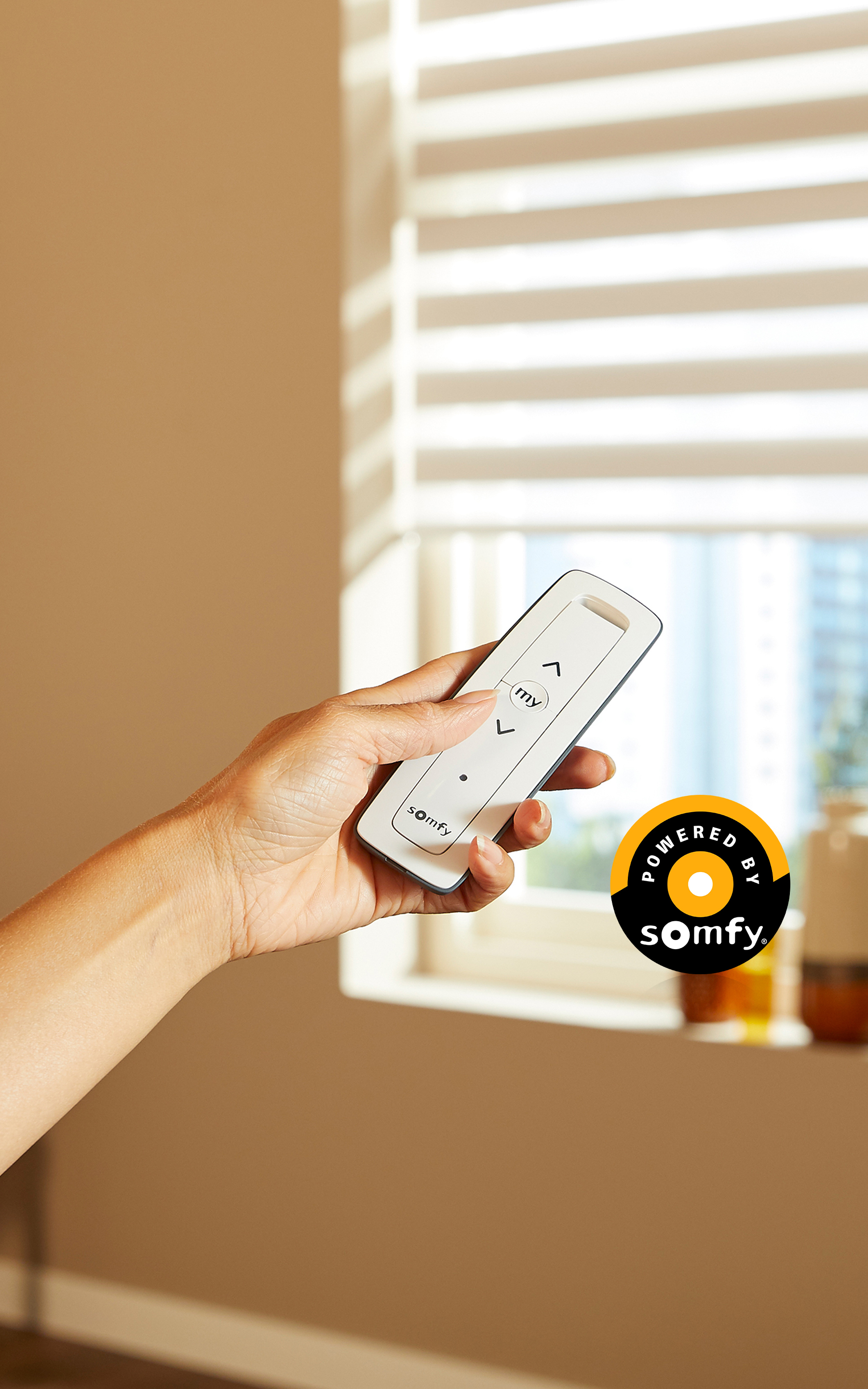 Automatikk Mobilhero Somfy (1)